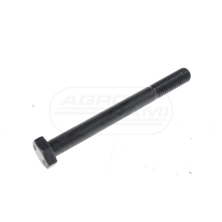 Śruba mechanizmu różnicowego 50013580