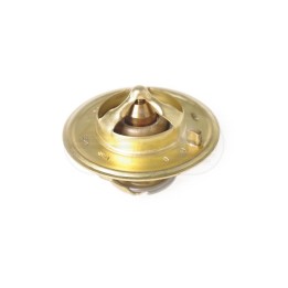 Termostat 2485C022, 2420082