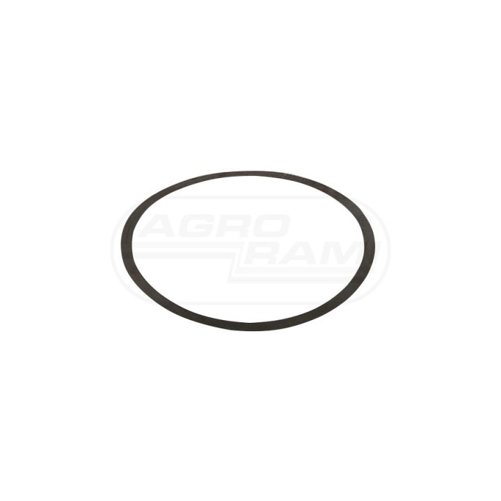 Podkładka regulacyjna 0,38mm 894759M1