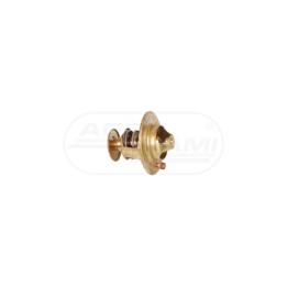 Termostat 2485613