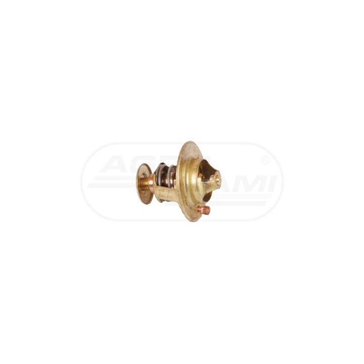 Termostat 2485613