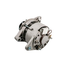 Alternator 14V/55A 2 paski