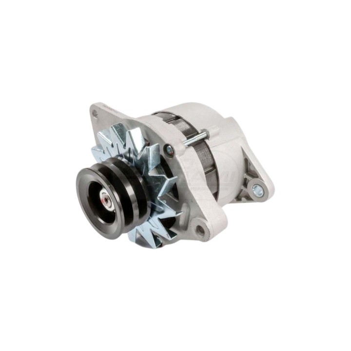 Alternator 14V/55A 2 paski