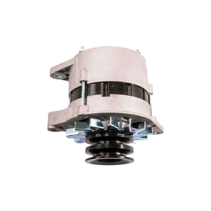 Alternator 14V/55A 2 paski