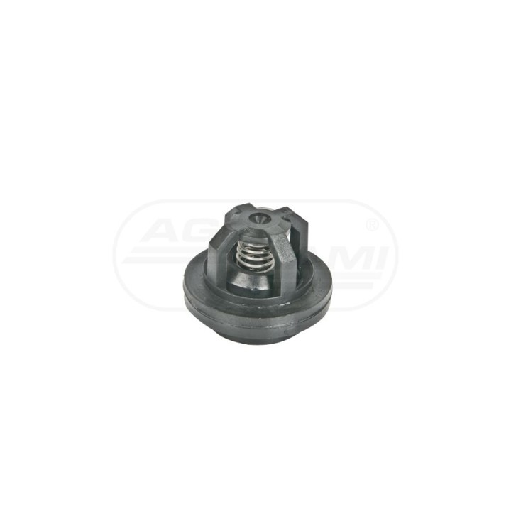 Zaworek pompy P-140 221209 AP20ZP Agroplast