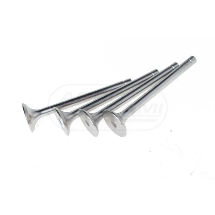 Zawór wydechowy PZET-004-S-0-D 69010554/PL Paradowscy