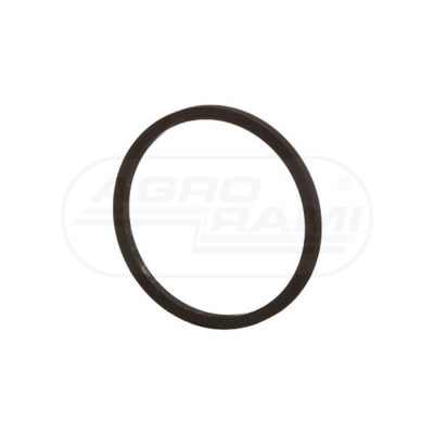 O-ring CNH