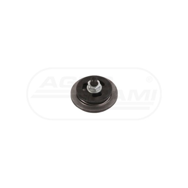 Zaworek spręż.wydechowy.W-50