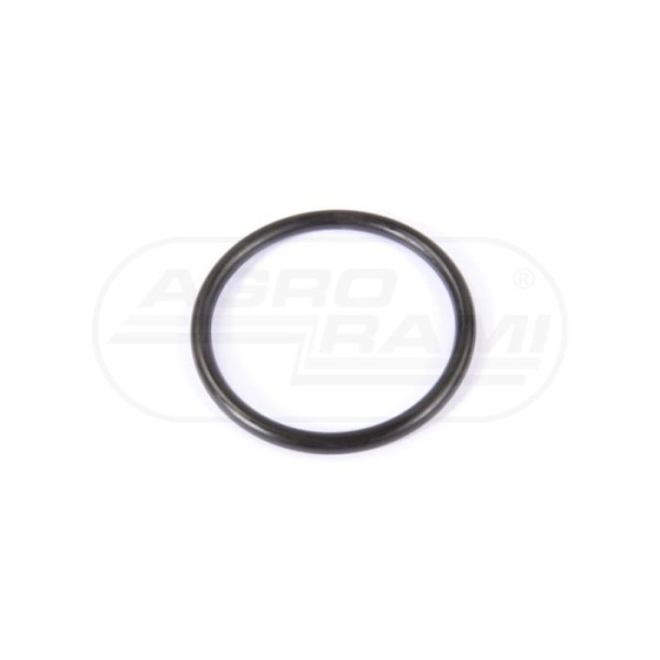 O-ring