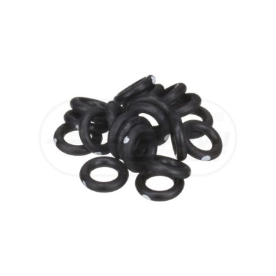 O-ring CNH