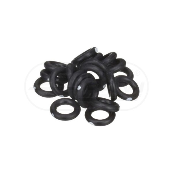 O-ring CNH