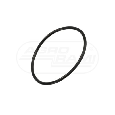 O-ring