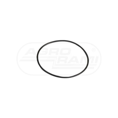 O-ring CNH