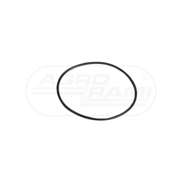 O-ring CNH