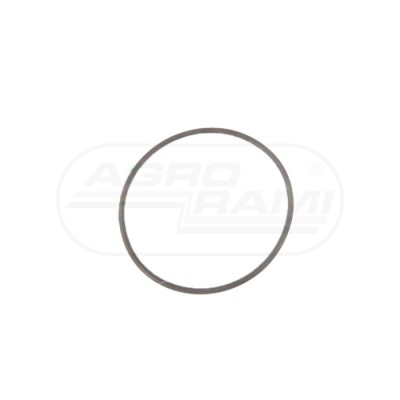 O-ring