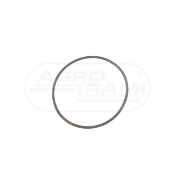 O-ring
