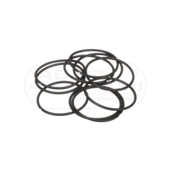 O-RING