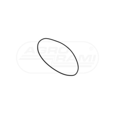 O-ring