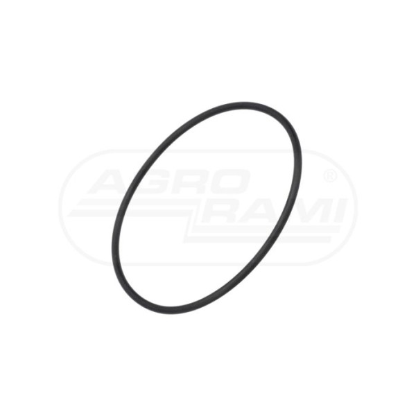 O-ring CNH