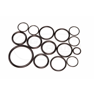 Zestaw uszczelek P-120 Biardzki