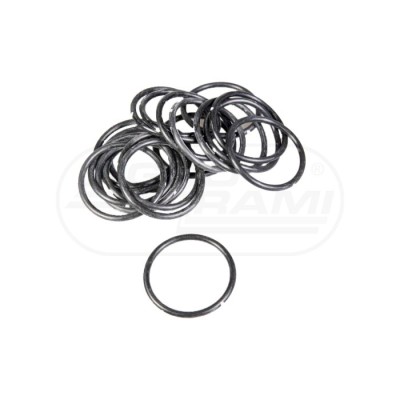 O-ring CNH