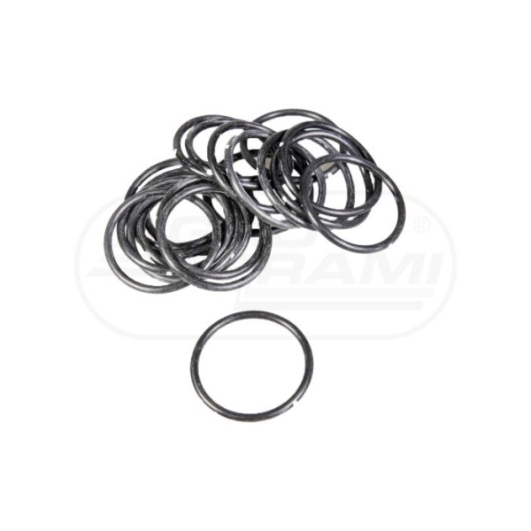 O-ring CNH