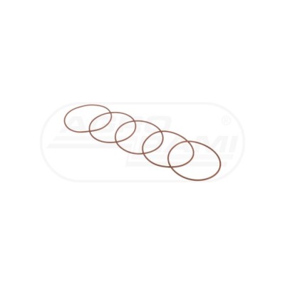 O-ring