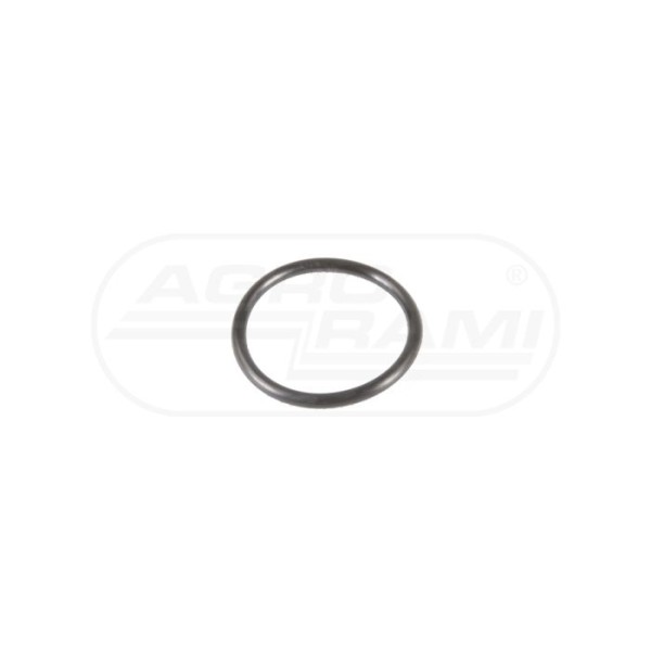 O-ring