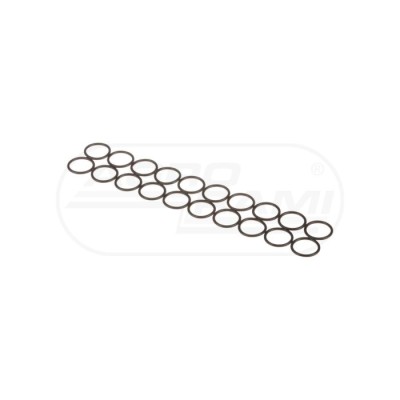 O-ring CNH