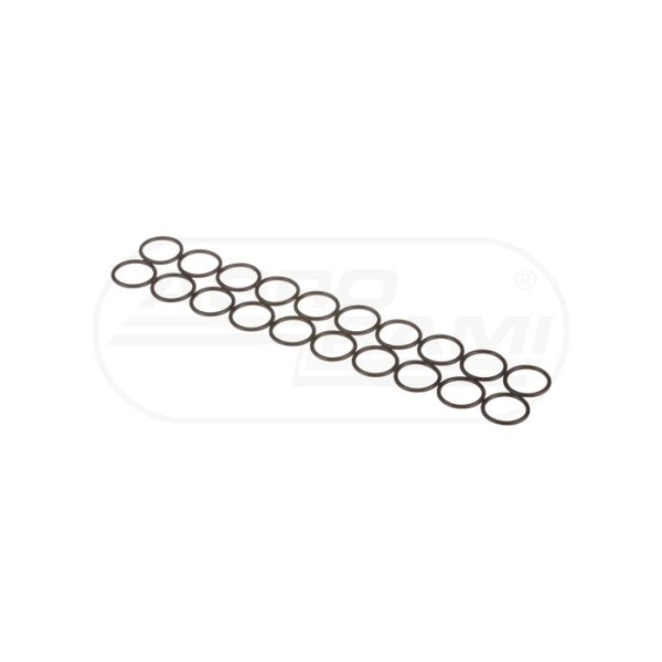 O-ring CNH