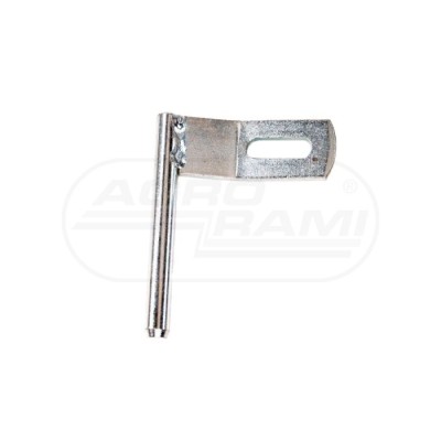 Sworzeń zawiasu tylny