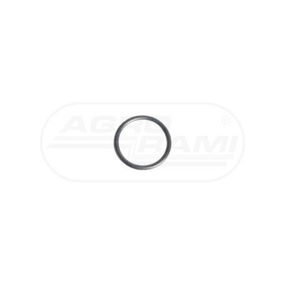 O-ring CNH