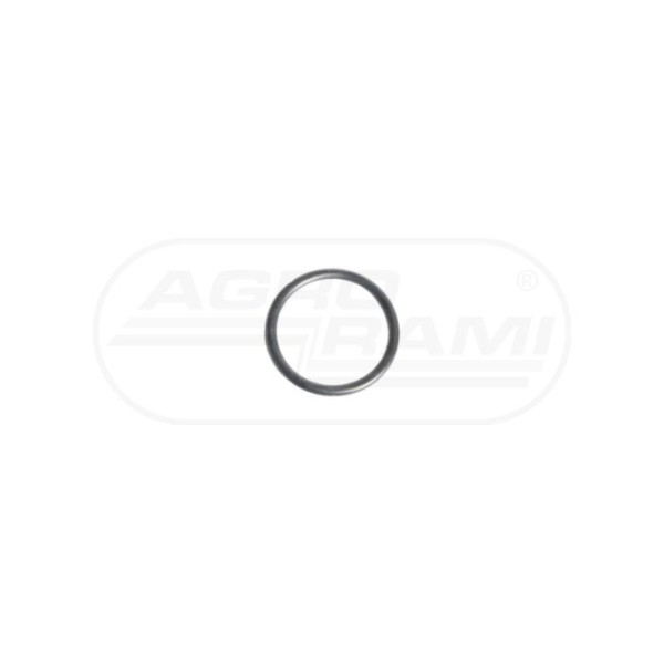 O-ring CNH