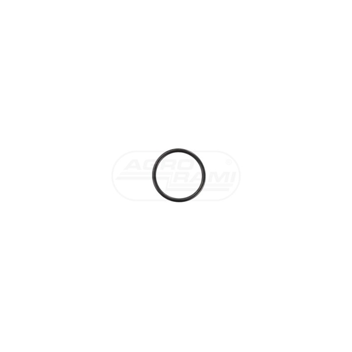 O-ring 17282581, ##, 84167616, 153625304 Case IH