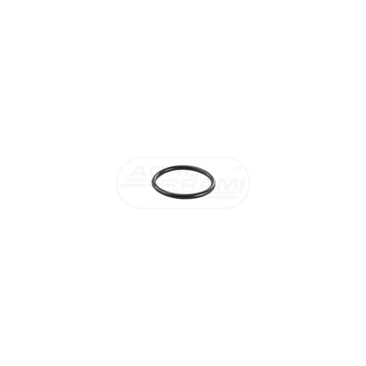 O-ring 17282581, ##, 84167616, 153625304 Case IH