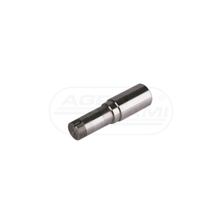 Czop piasty 6-otworowy 173800000