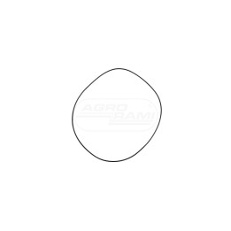 O-ring tłoka hamulcowego CNH 14469580, ##, 238-5277, 124325A1 Case IH