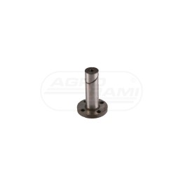 Sworzeń zwrotnicy 21/6450-28 04331147