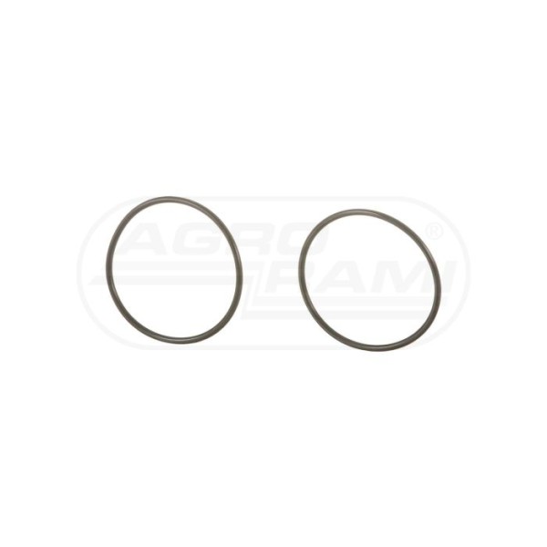 O-ring