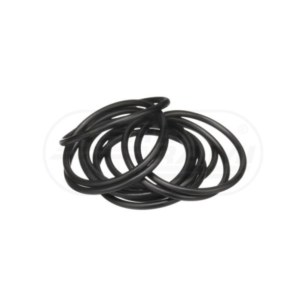 O-ring