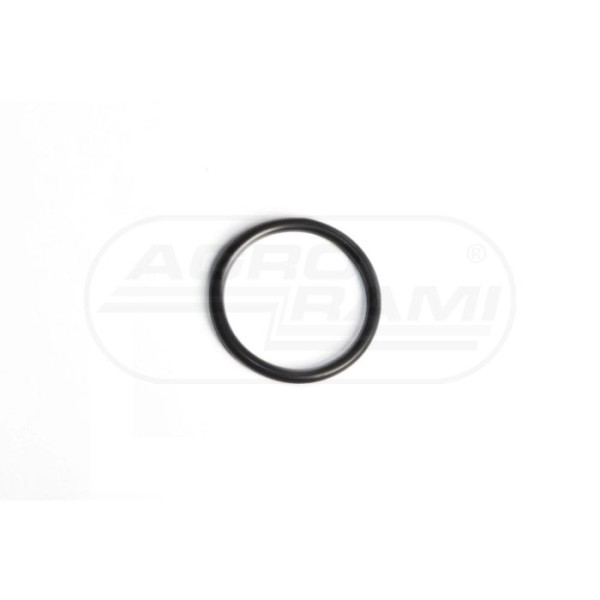 O-ring