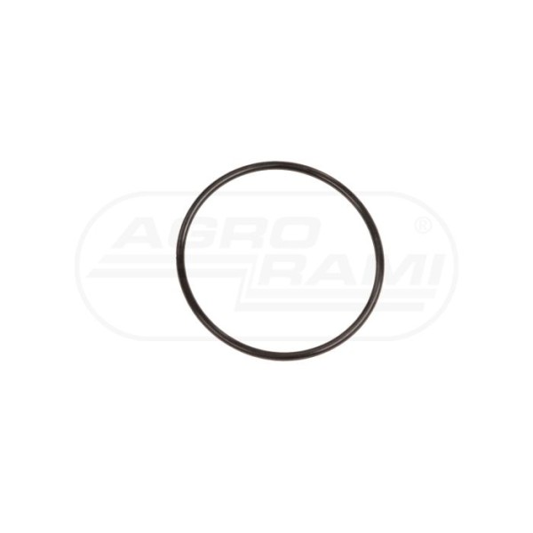 O-ring