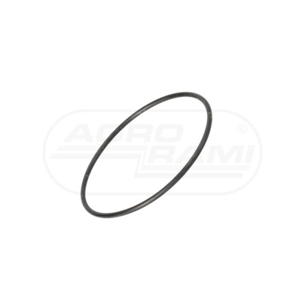 O-ring