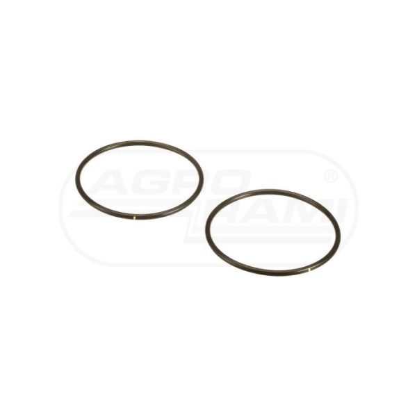 O-ring