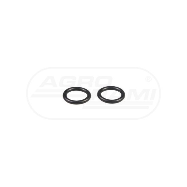 O-ring