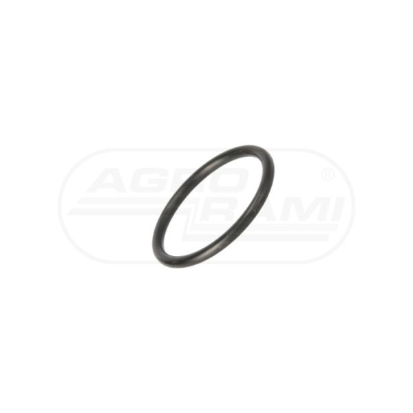 O-ring