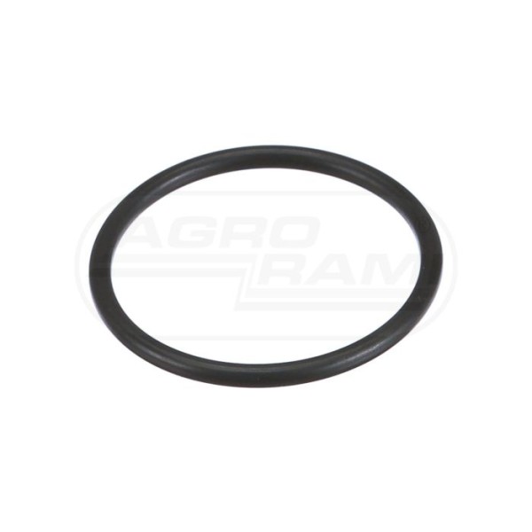 O-ring
