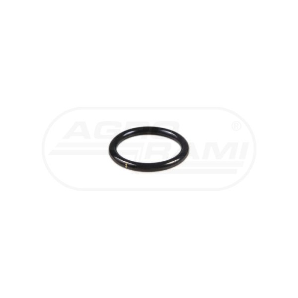 O-ring