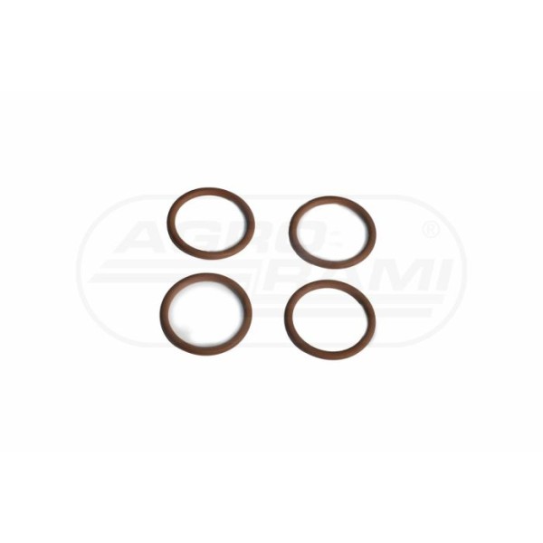 O-ring
