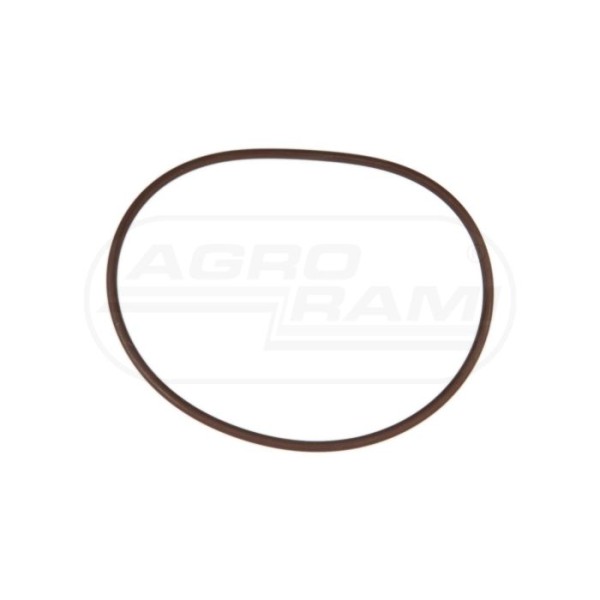O-ring